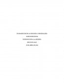 INTRODUCCIÓN A LA MINERÍA