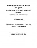 PLAN OPERATIVO ESTRATEGIA SANITARIA NACIONAL DE SALUD FAMILIAR Y COMUNITARIA.