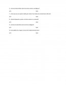 ¿Cree que sea una opción viable para reducir los niveles de contaminacion del aire?