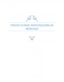 EL GRAN TERCER AVANCE INVESTIGACIÓN DE MERCADO