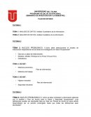 ANALISIS DE DATOS: Análisis Cuantitativo de la información.