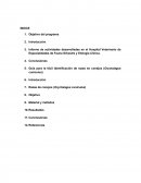 Informe de actividades desarrolladas en el Hospital Veterinario de Especialidades de Fauna Silvestre y Etología Clínica.