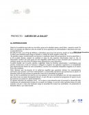 UN PROYECTO : “JUEVES DE LA SALUD”