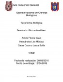 Taxonomía Biológica