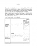 Perfil Socio económico Empresa Pasteles