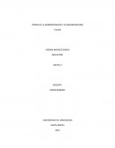 TEORIA DE LA ADMINISTRACION Y LA ADMINISTRACION.