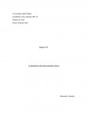 La dictadura en diecisiete episodios críticos.