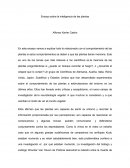 Neurobiologia de las plantas