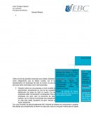 Actividad 1. General Motors