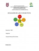 APLICACIÓN DE LAS 5´S EN MI PATIO