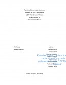 Proyecto de plantas Carey