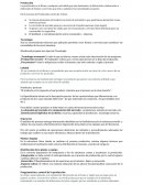 El proceso de Producción.