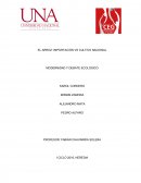 EL ARROZ: IMPORTACIÓN VS CULTIVO NACIONAL