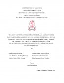 Metodologia de la investigacion