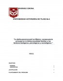 La delincuencia juvenil en México: Consecuencia principal en la disfuncionalidad familiar