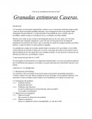 Proyecto de Ciencia, Tecnología y Ambiente.