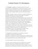 Trabajo Práctico Nº3: Hormigones