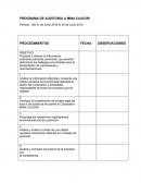 PROGRAMA DE AUDITORIA A MINA OLIGORI