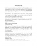 Reguero de tallos en el andén