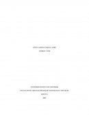 Ensayo metodo peligroso.