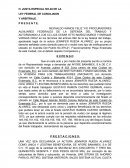 DEMANDA PROCEDIMIENTO ESPECIAL LABORAL