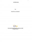 LAS FIESTAS INDEPENDENCIA DE CARTAGENA.