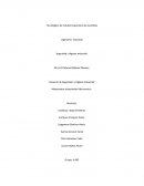 Ingeniería Industrial Seguridad y Higiene Industrial