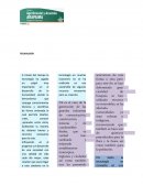 TALLER CONOCIMIENTOS INFORMATICA