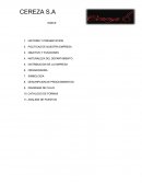 MANUAL DE EMPRESA CEREZA
