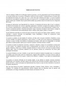 Los Modelos de puentes