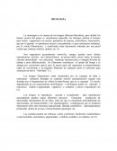 MICOLOGÍA (Micetes-Micofitos)