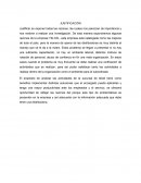 Justificación La distribuidora TELCEL