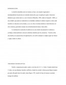 Análisis Ecosistémico de un caso.