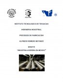 ENSAYO “INDUSTRIA ACERERA EN MEXICO”