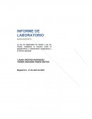 INFORME DE LABORATORIO SOBRE HOOKE.