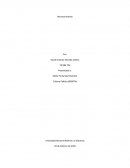 ¿Cómo se evidencia la cultura? ¿Cómo se evidencia la cultura política?