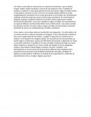 Los niños a esta edad se encuentran en continuo movimiento: corren saltan trepan