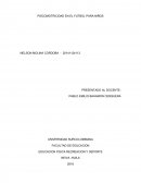 EDUCACION FISICA RECREACION Y DEPORTE