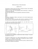 Diferencias finitas en Pilotes (Borrador)