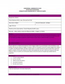 FORMATO PARA ELABORACION DE DIARIO DE CAMPO