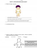 Guía “¿Cómo está formado nuestro cuerpo?”