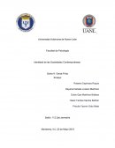 Identidad de las sociedades contemporaneas.