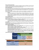 ¿Qué es la medición del desempeño?