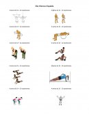Apuntes de ejercicios de Espalda