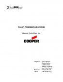 Caso Cooper Industries