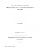 Ensayo de seminario de investigación.