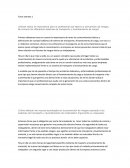 Dónde radica la importancia para el profesional que ejerce la prevención de riesgos