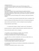 Consolidacion morfopato