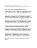 El ecosistema en mi comunidad