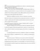 Concreción documental del conjunto de decisiones explícitos y congruentes para asignar recursos o propósitos preestablecidos.